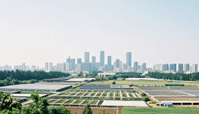 中小客户的技术咨询如何实现性能与适用条件的平衡