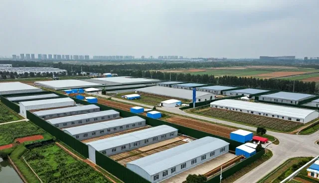 流程优化中技术研发的适用条件与选型关注点