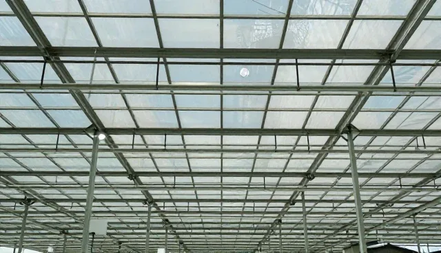 中小企业的技术开发限制与使用建议