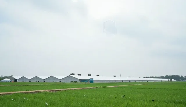 核对清单:设备管理服务选型需检查哪些要点